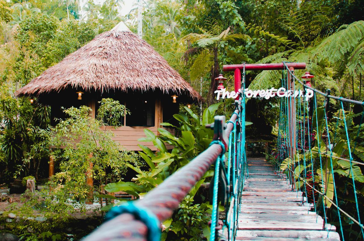 Forest Camp Resort Valencia  Dış mekan fotoğraf