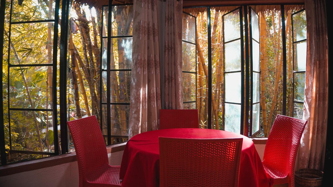 Forest Camp Resort Valencia  Dış mekan fotoğraf