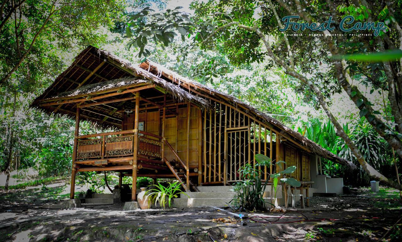 Forest Camp Resort Valencia  Dış mekan fotoğraf